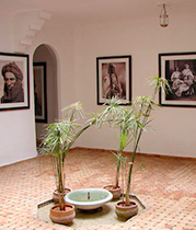 musee-photographie